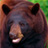The Hauser Diet Bear Diet Type™