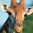 The Hauser Diet Giraffe Diet Type™