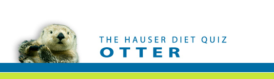 The Hauser Diet Otter Diet Type™ – 50% Protein / 25% Fat / 25% Carbs